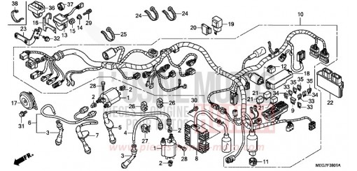 WIRE HARNESS (VT750C2S/CS) VT750CSC de 2012